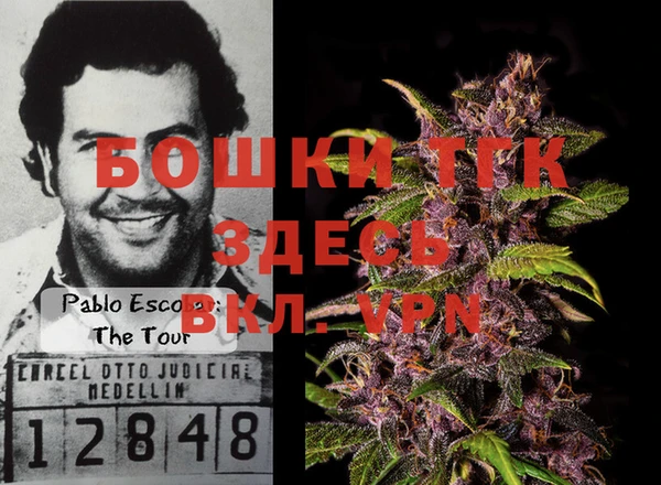 дурь Мегион