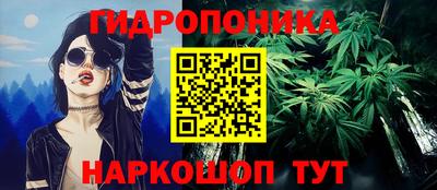 Альфа ПВП Пушкино